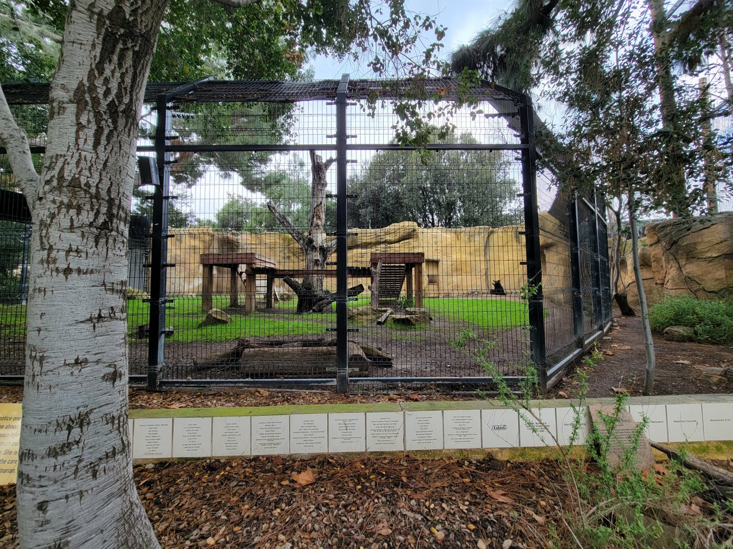 OC Zoo - American black bear exhibit