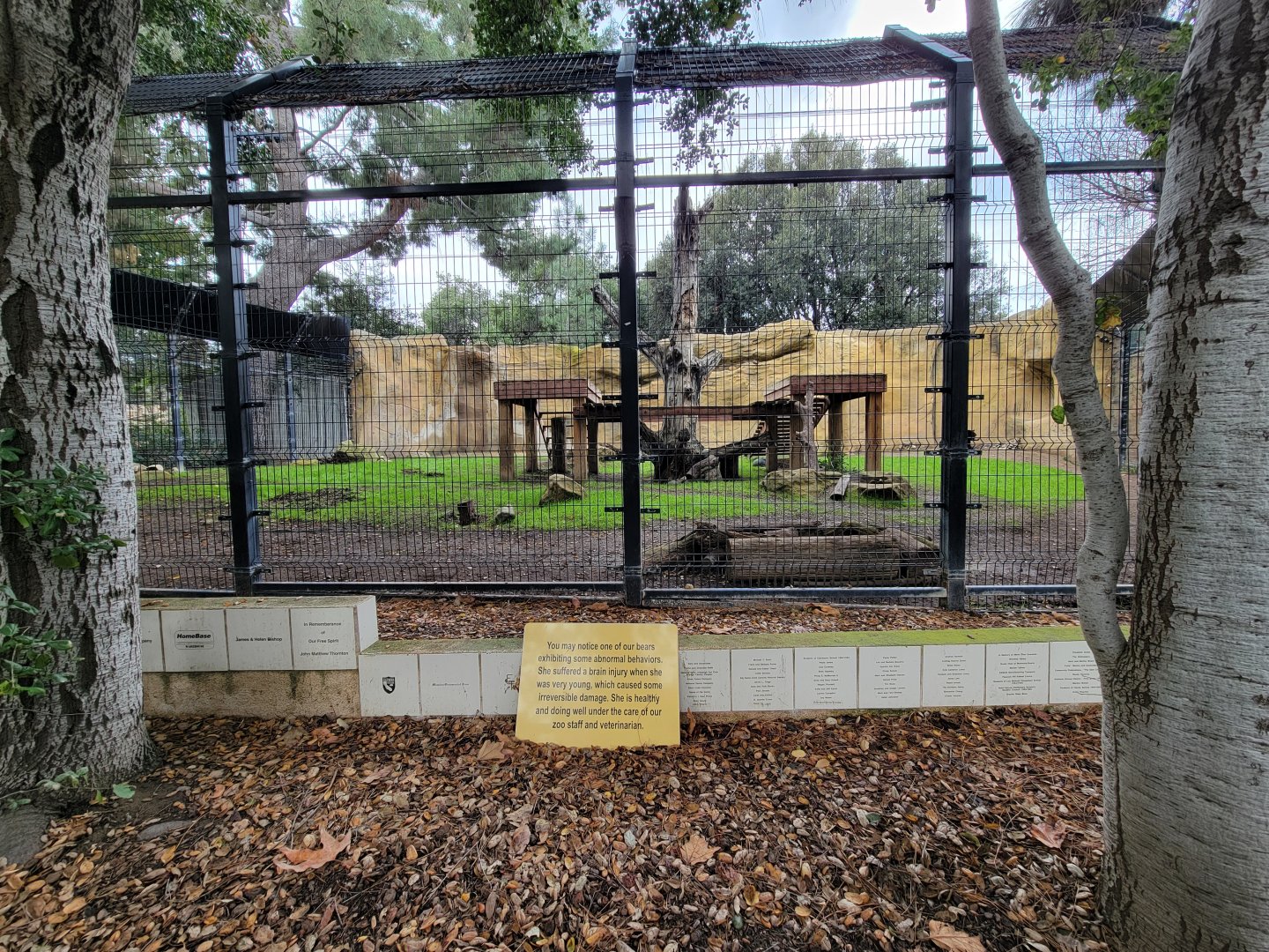 OC Zoo - American black bear exhibit