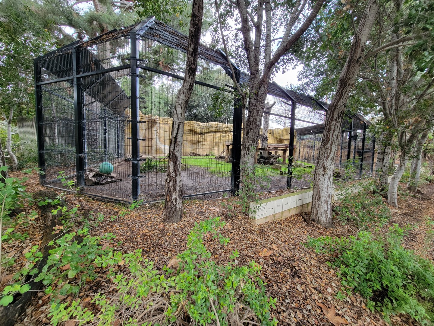 OC Zoo - American black bear exhibit