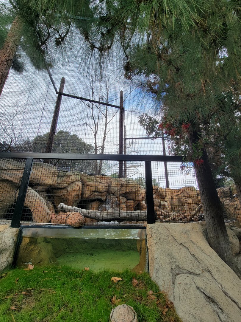 OC Zoo - American crow and beaver exhibit