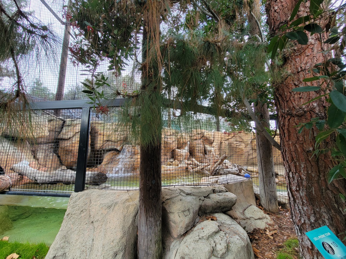 OC Zoo - American crow and beaver exhibit