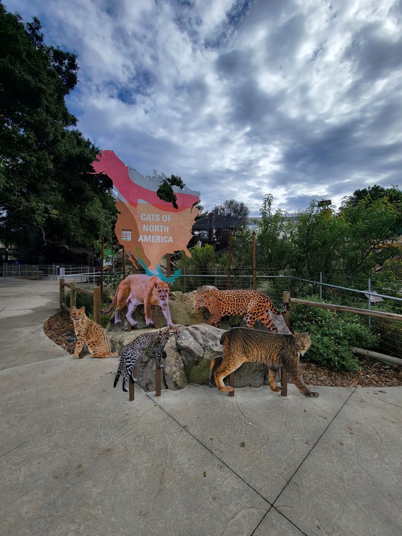 OC Zoo - Cats of North America