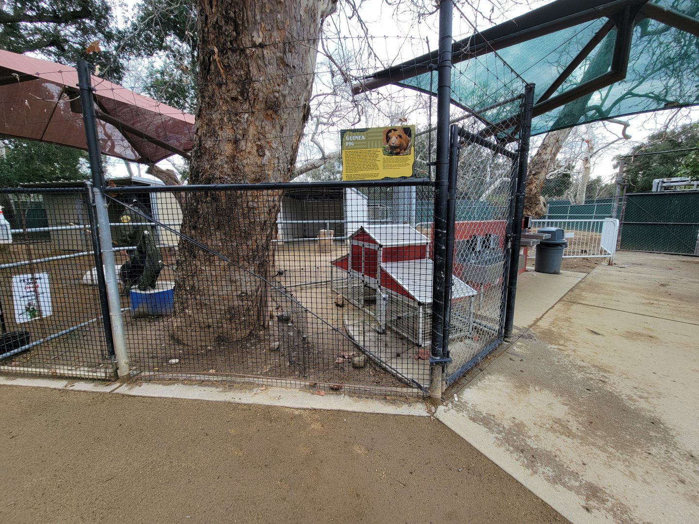 OC Zoo - Children's Zoo, guinea pigs (unseen)