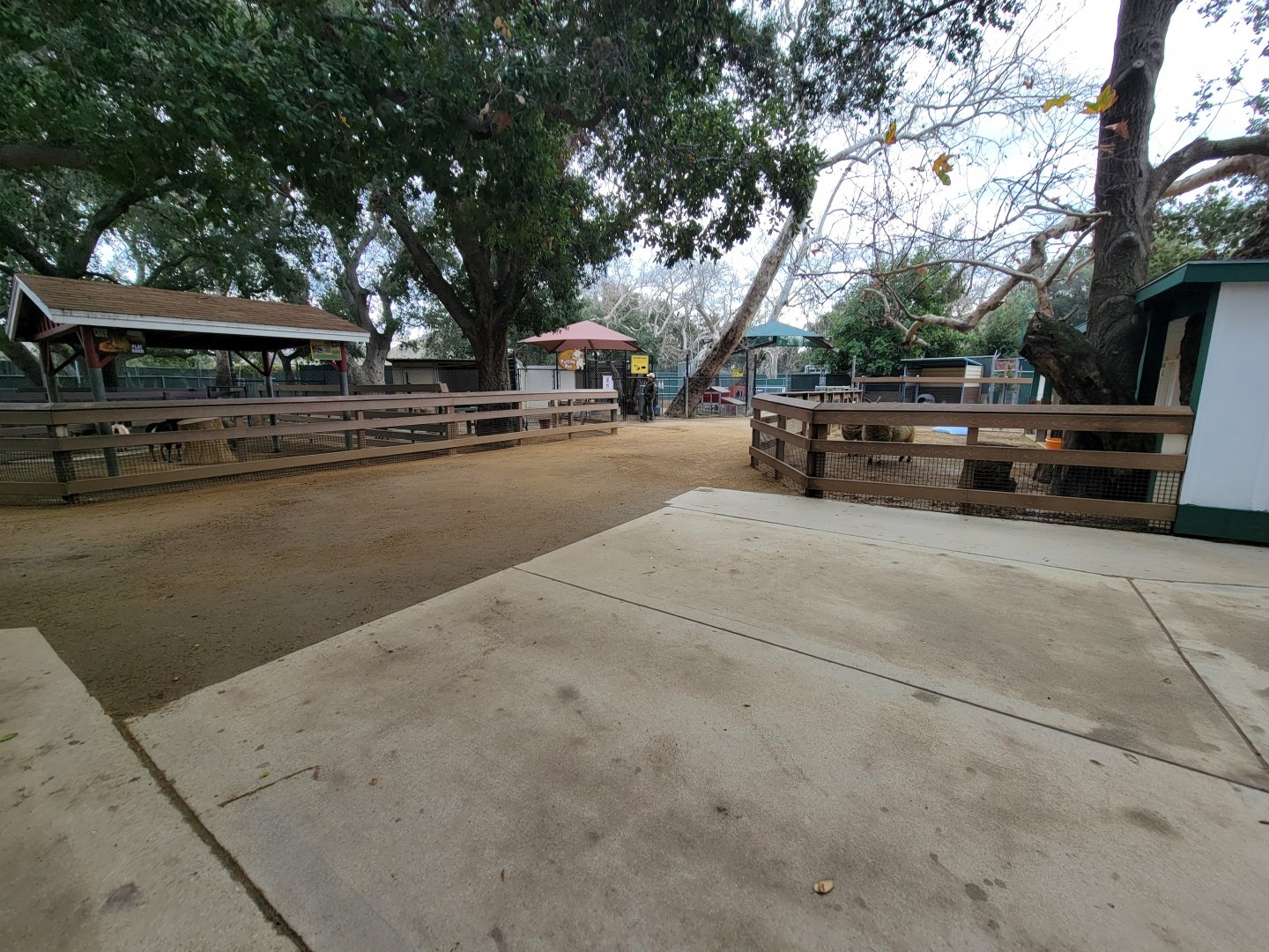 OC Zoo - Children's Zoo