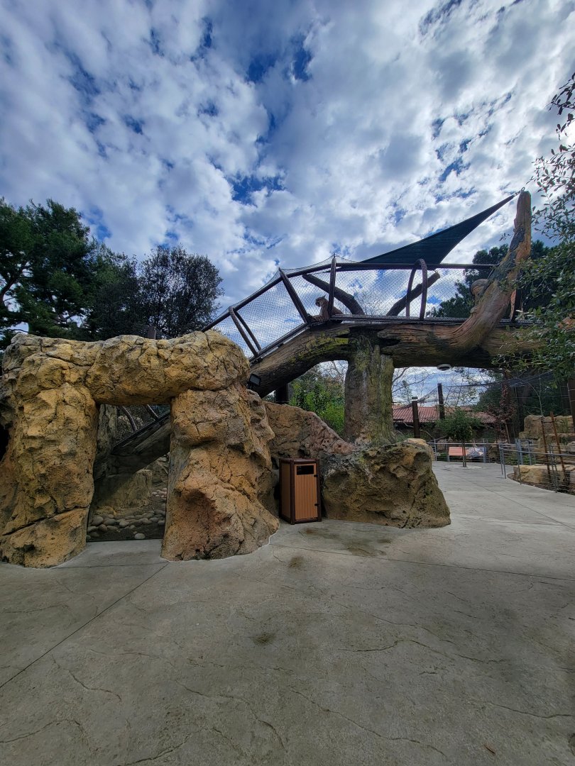 OC Zoo - Cougar exhibit #2