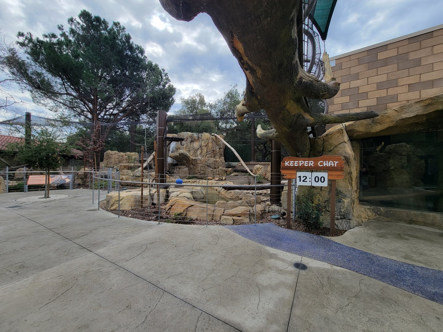 OC Zoo - Cougar exhibit #3, with indoor viewing window