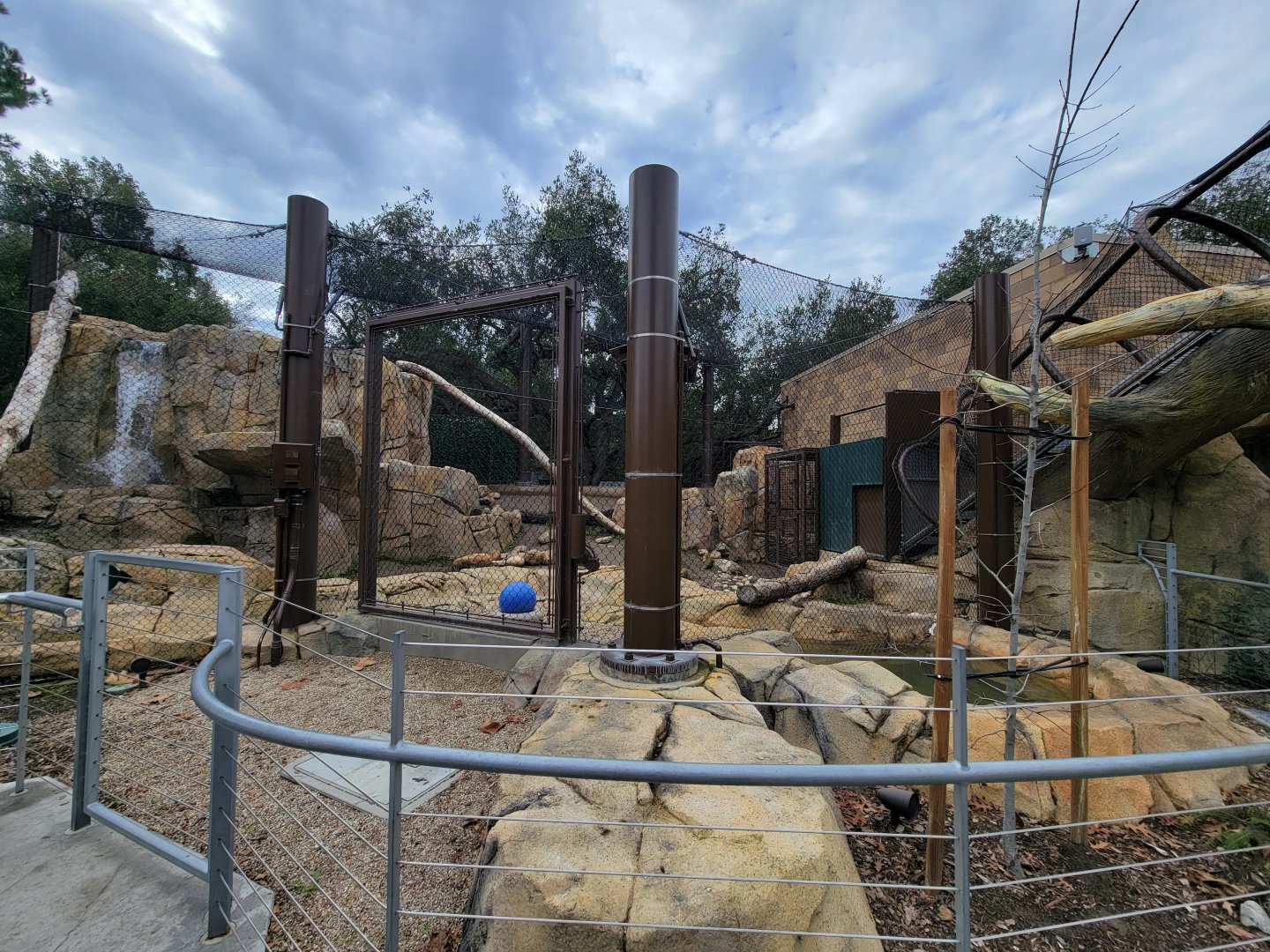 OC Zoo - Cougar exhibit #3