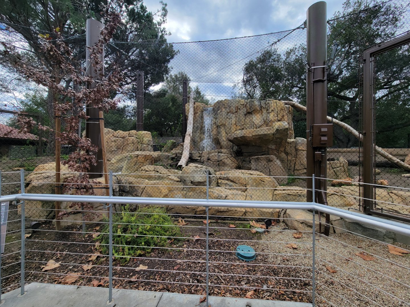 OC Zoo - Cougar exhibit #3