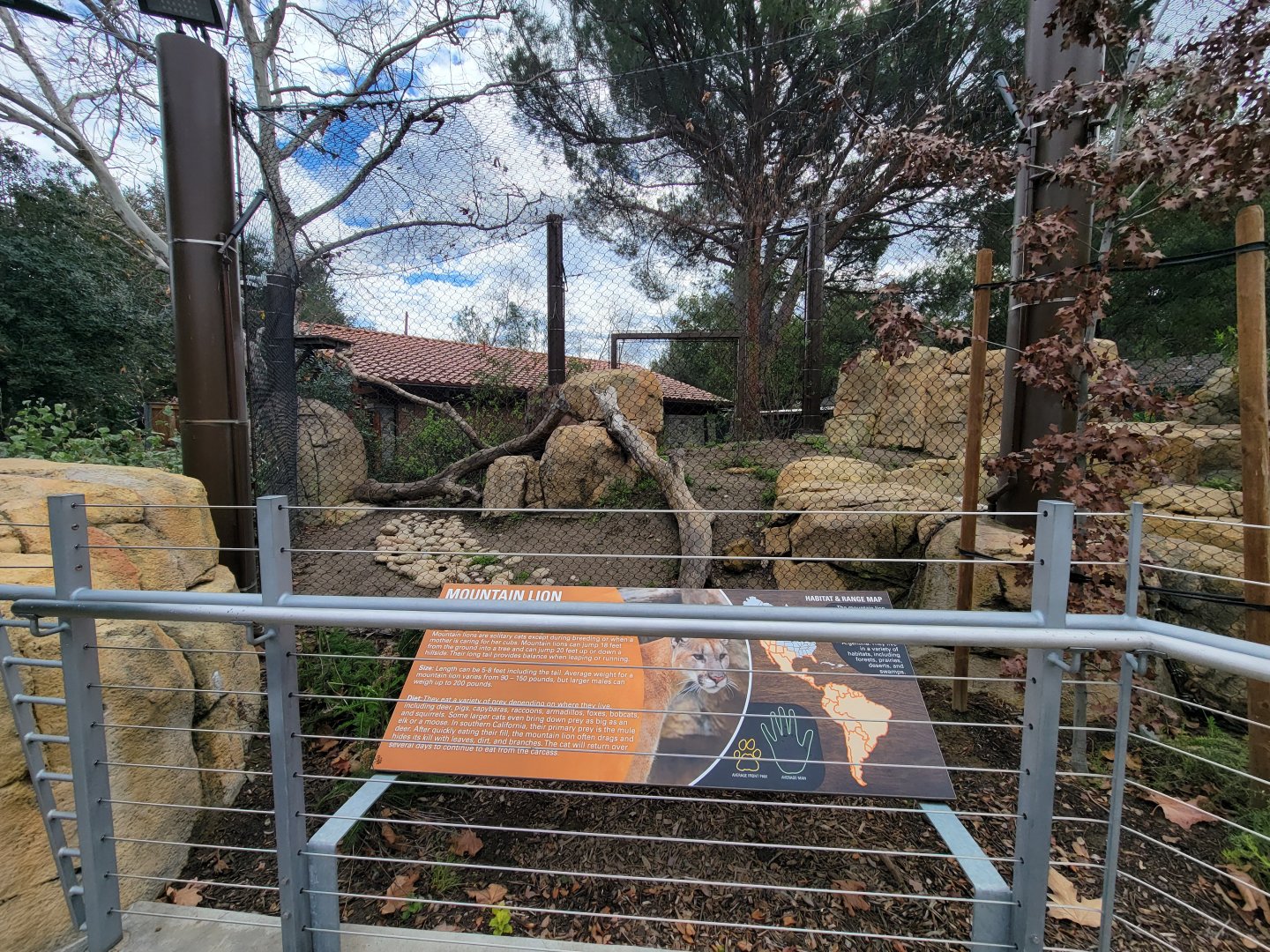 OC Zoo - Cougar exhibit #3