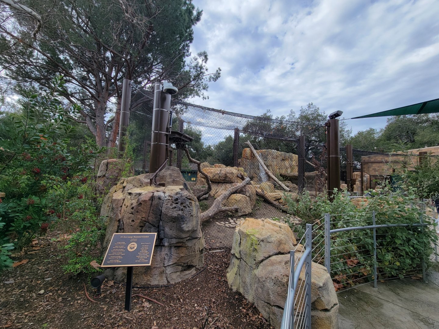 OC Zoo - Cougar exhibit #3