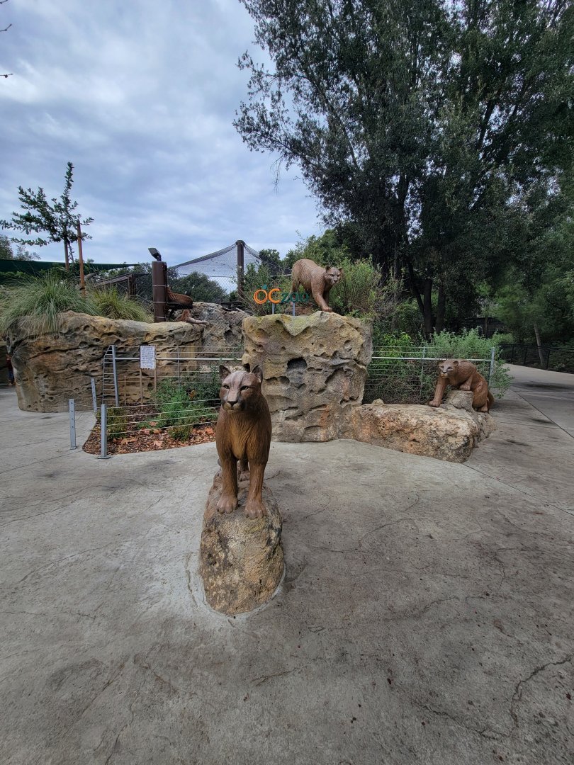 OC Zoo - Cougar statues