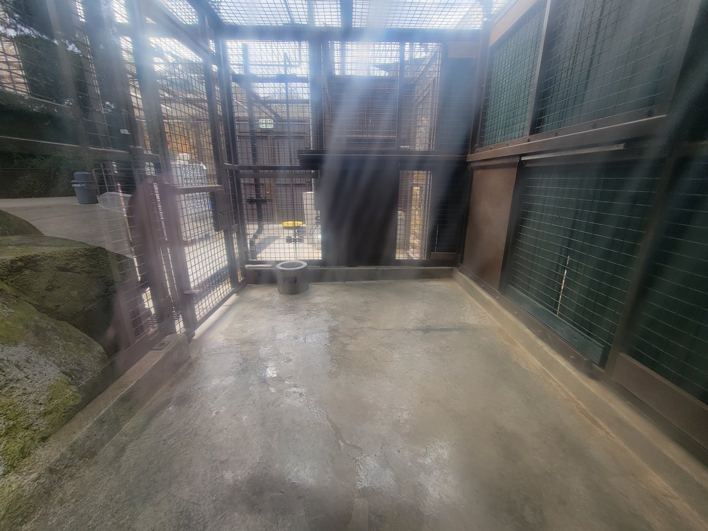 OC Zoo - Indoor viewing for jaguar exhibit #1