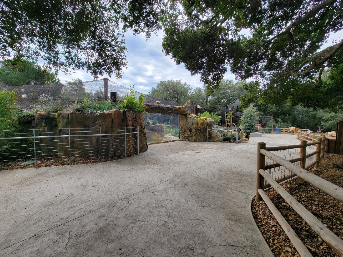 OC Zoo - Jaguar exhibit #1, black jaguar