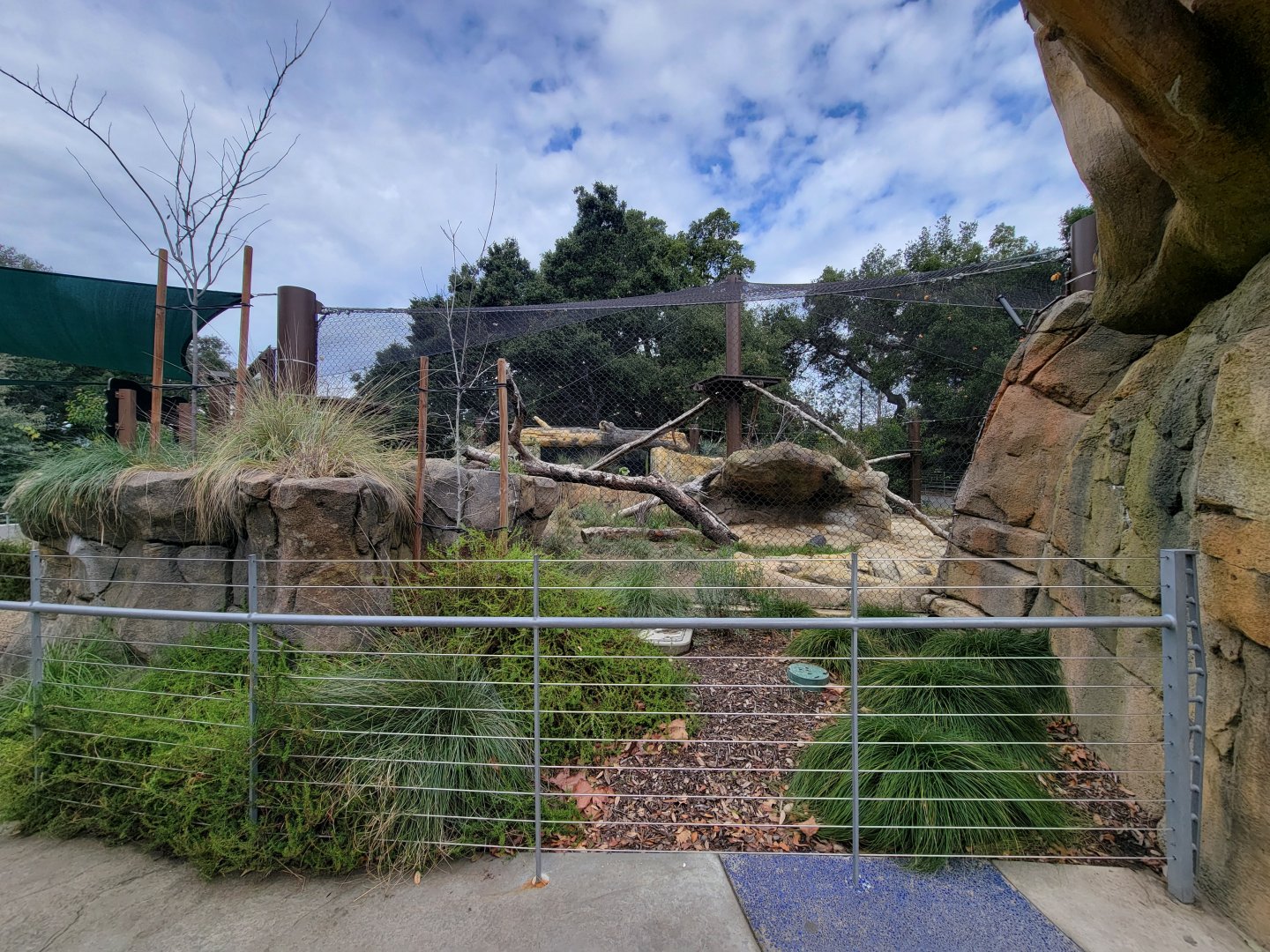 OC Zoo - Jaguar exhibit #1, black jaguar