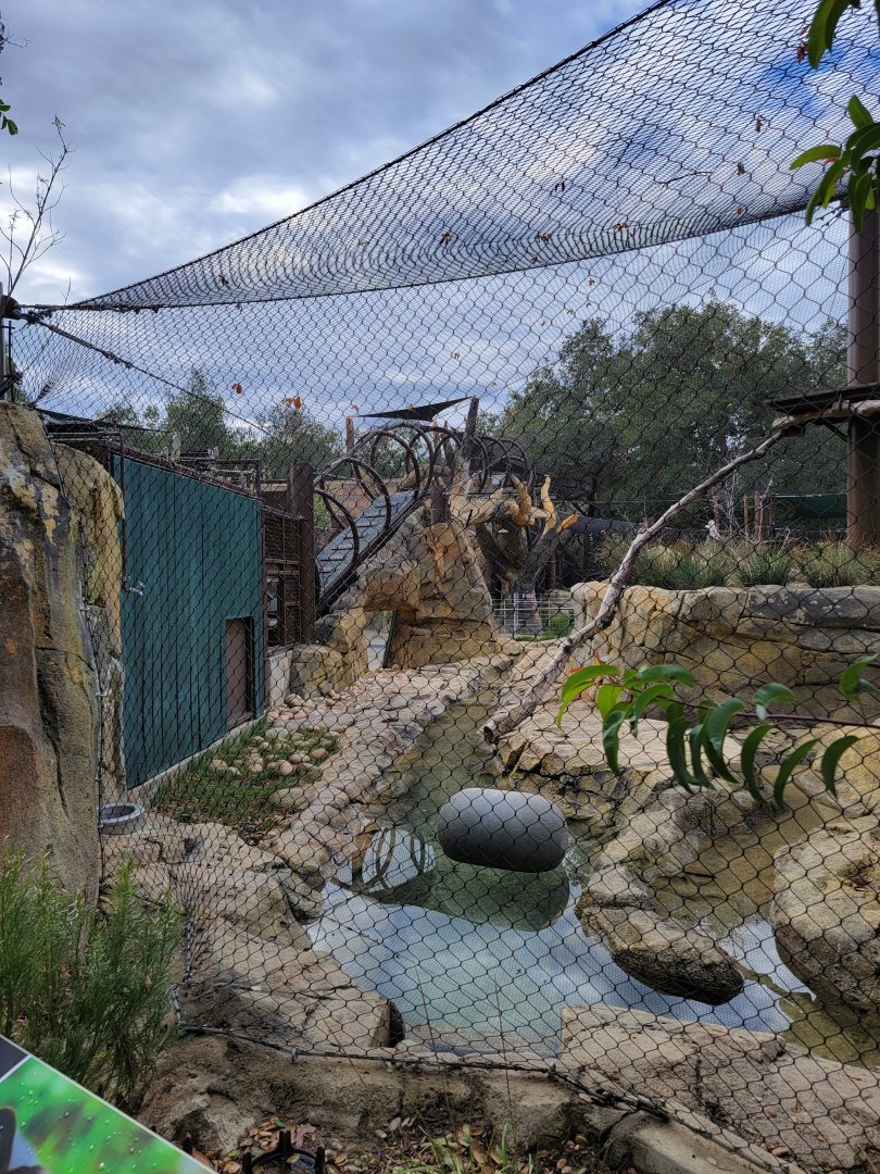 OC Zoo - Jaguar exhibit #1
