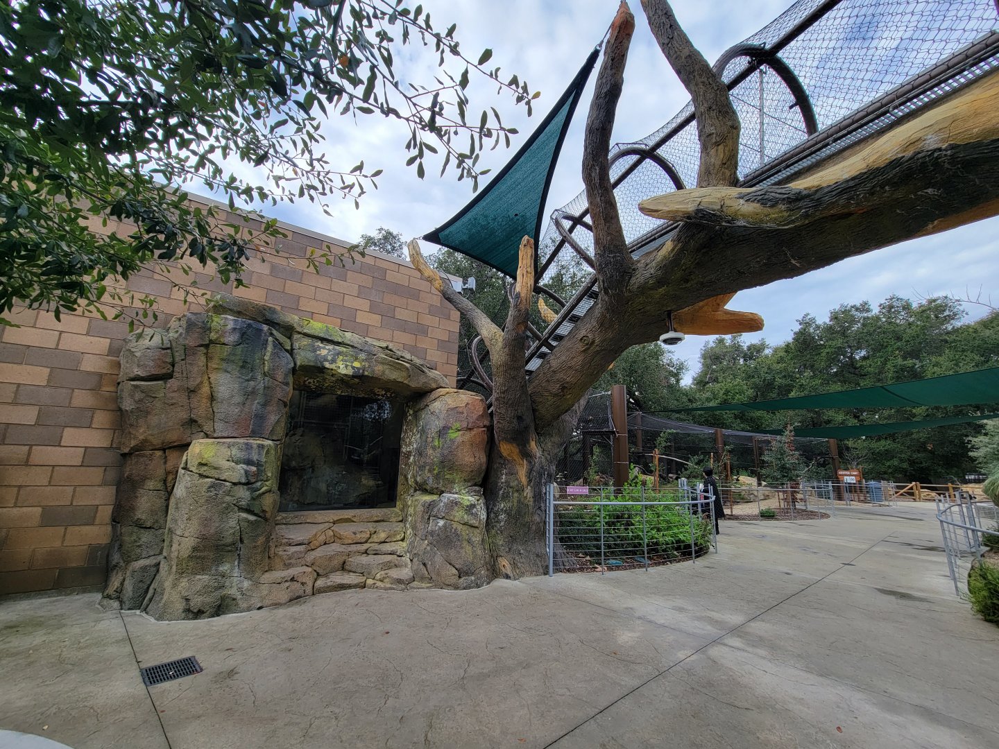 OC Zoo - Jaguar exhibit #2 indoor viewing window