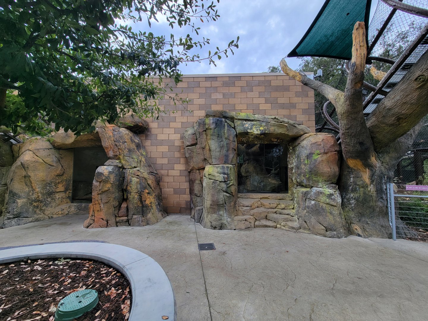 OC Zoo - Jaguar exhibit #2 indoor viewing window