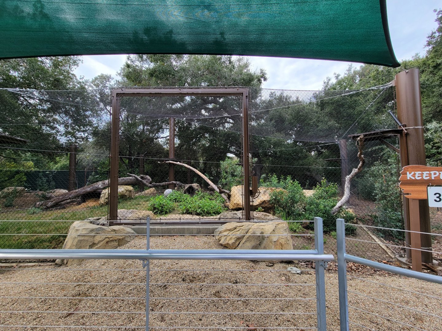 OC Zoo - Jaguar exhibit #2