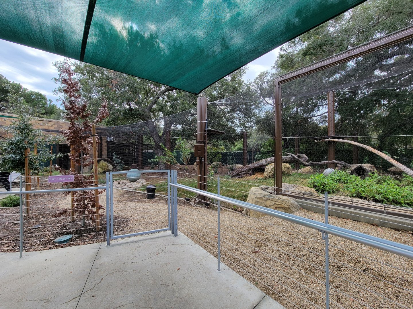 OC Zoo - Jaguar exhibit #2