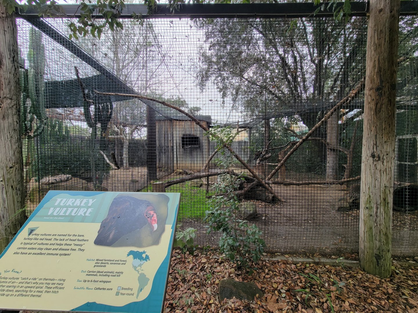 OC Zoo - North American porcupine and turkey vulture