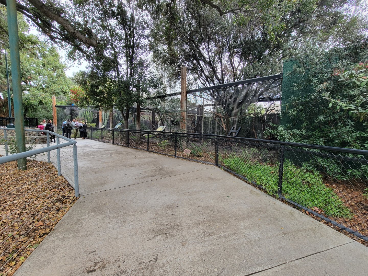 OC Zoo - Small row of native species