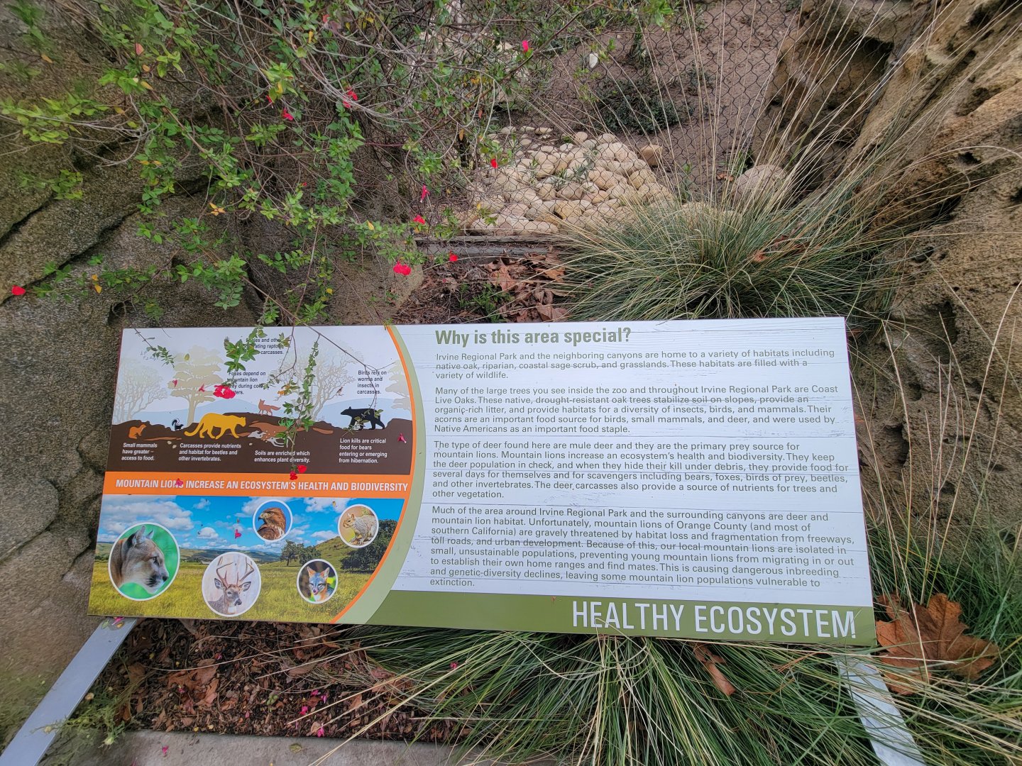 OC Zoo - Why is this area special?