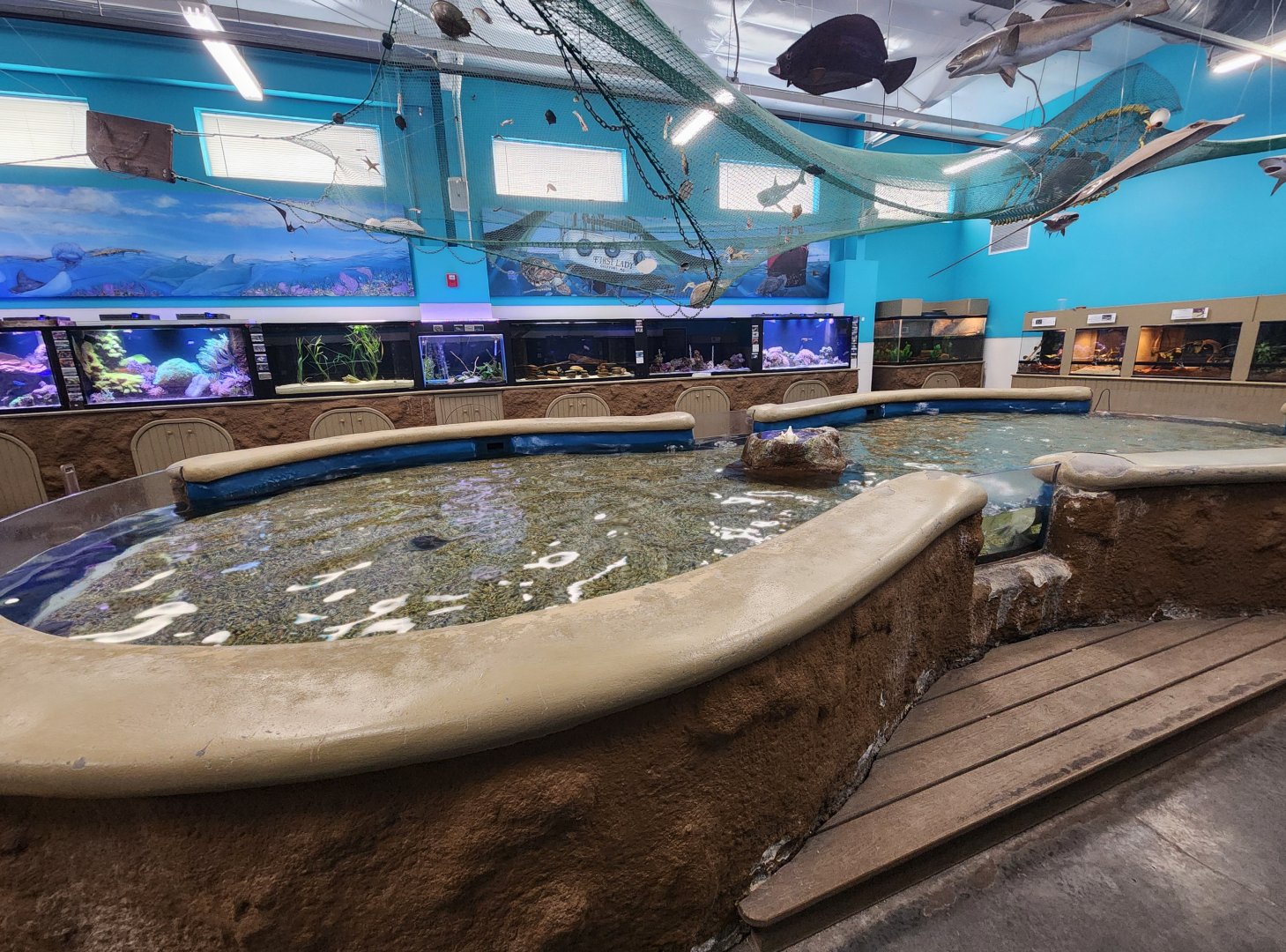 Ocean Adventures (IMMS) - Discovery room