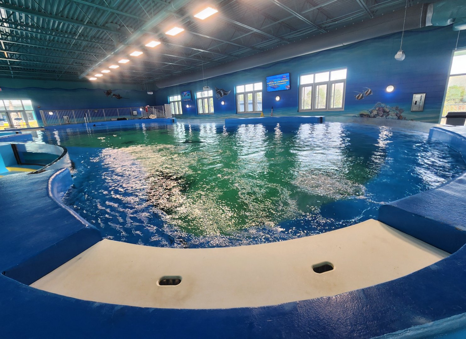 Ocean Adventures (IMMS) - Ray touch pool