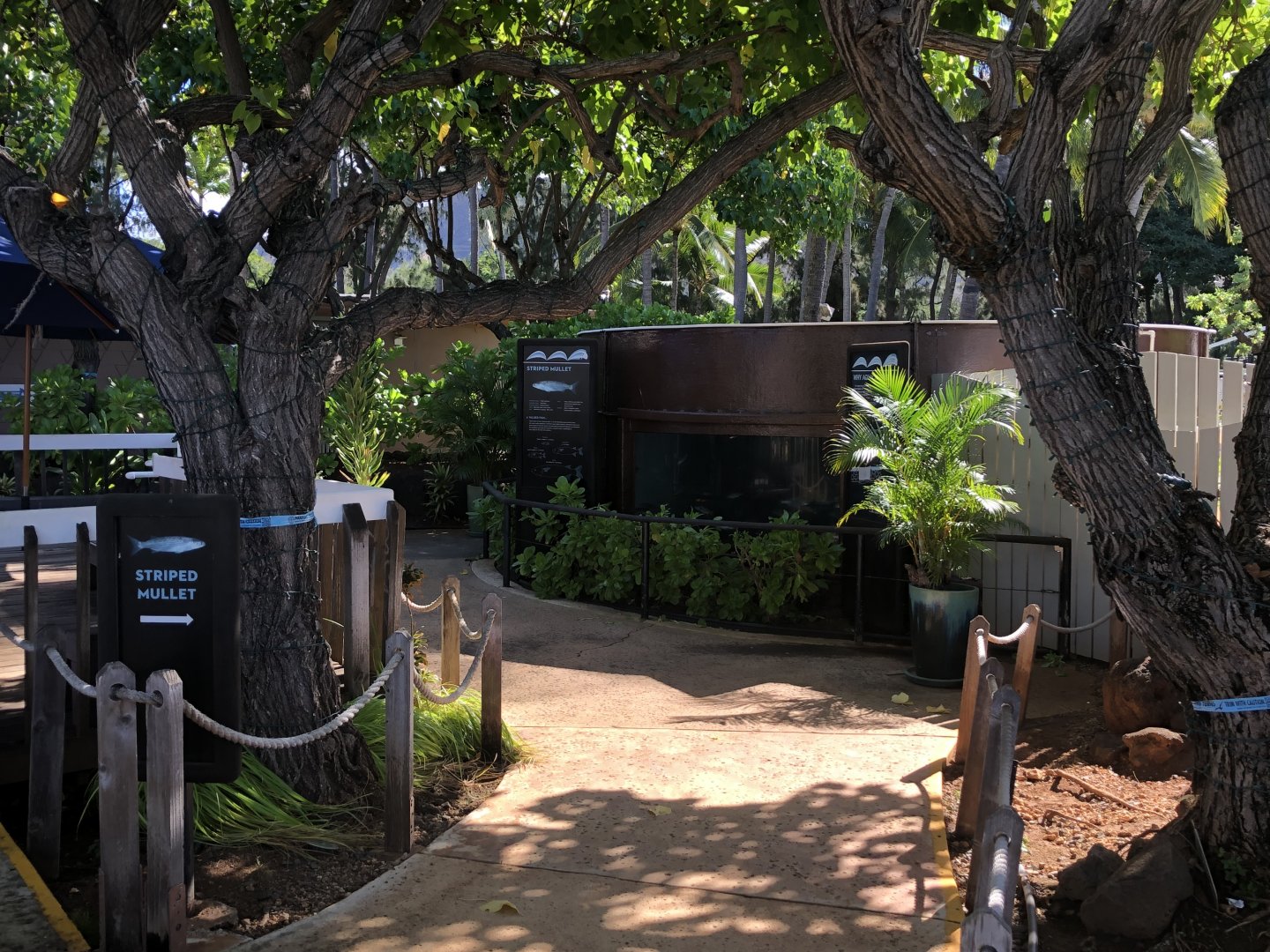 "Ocean Aquaculture" Tank