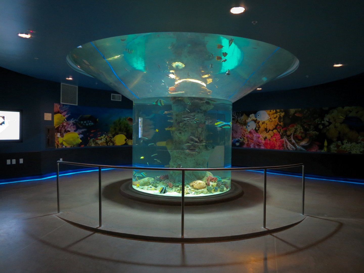 Ocean Art - Ocean Blue Martini Exhibit