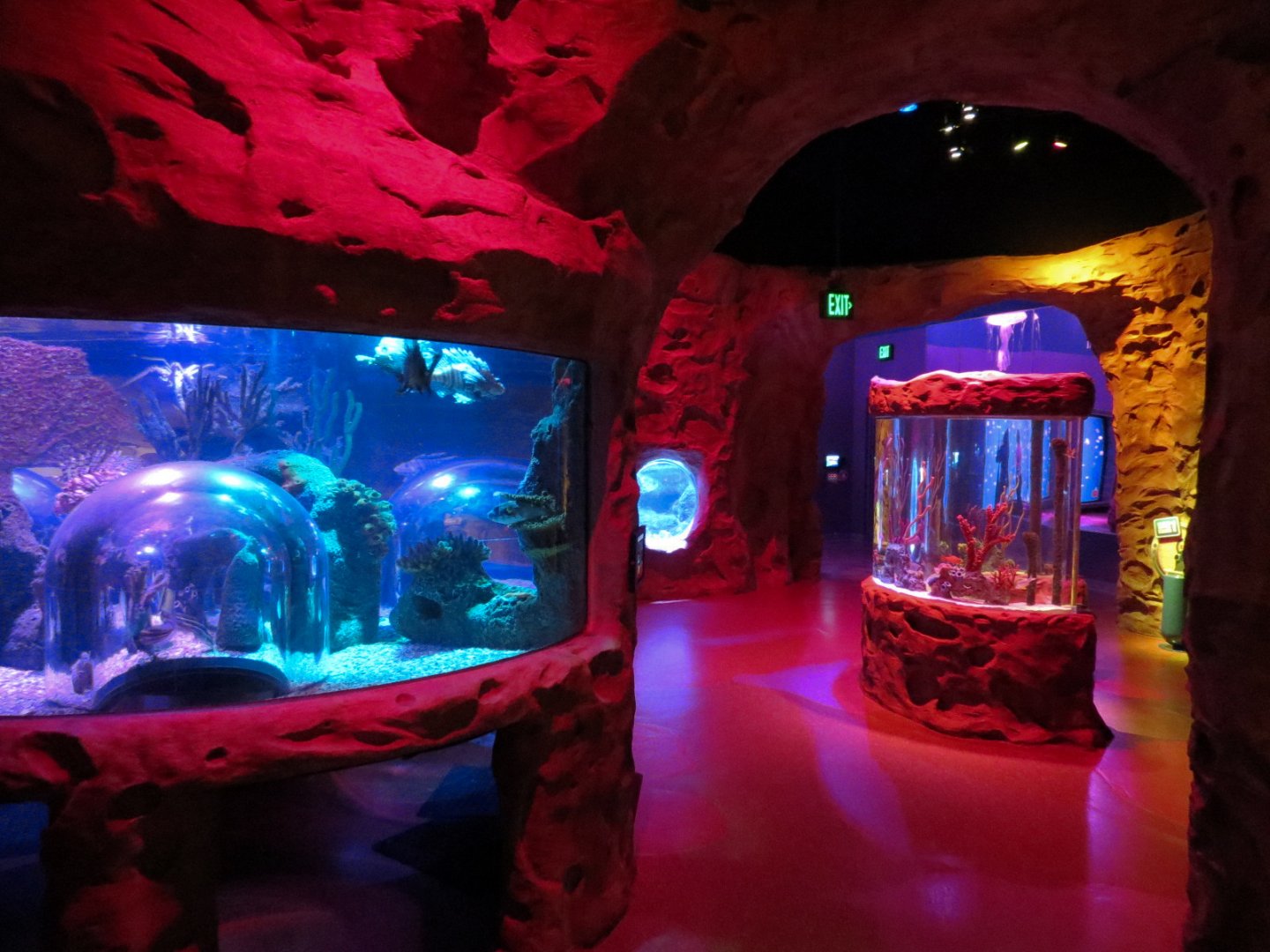 Ocean Caves Exhibits