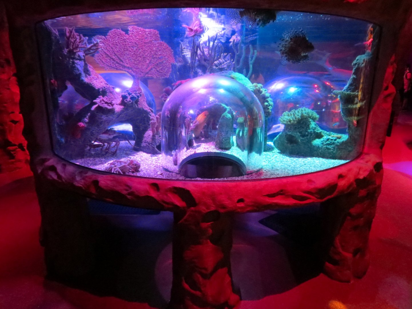 Ocean Caves Exhibits