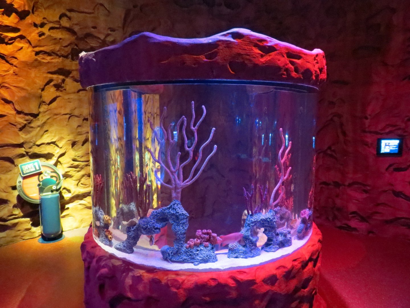 Ocean Caves Exhibits