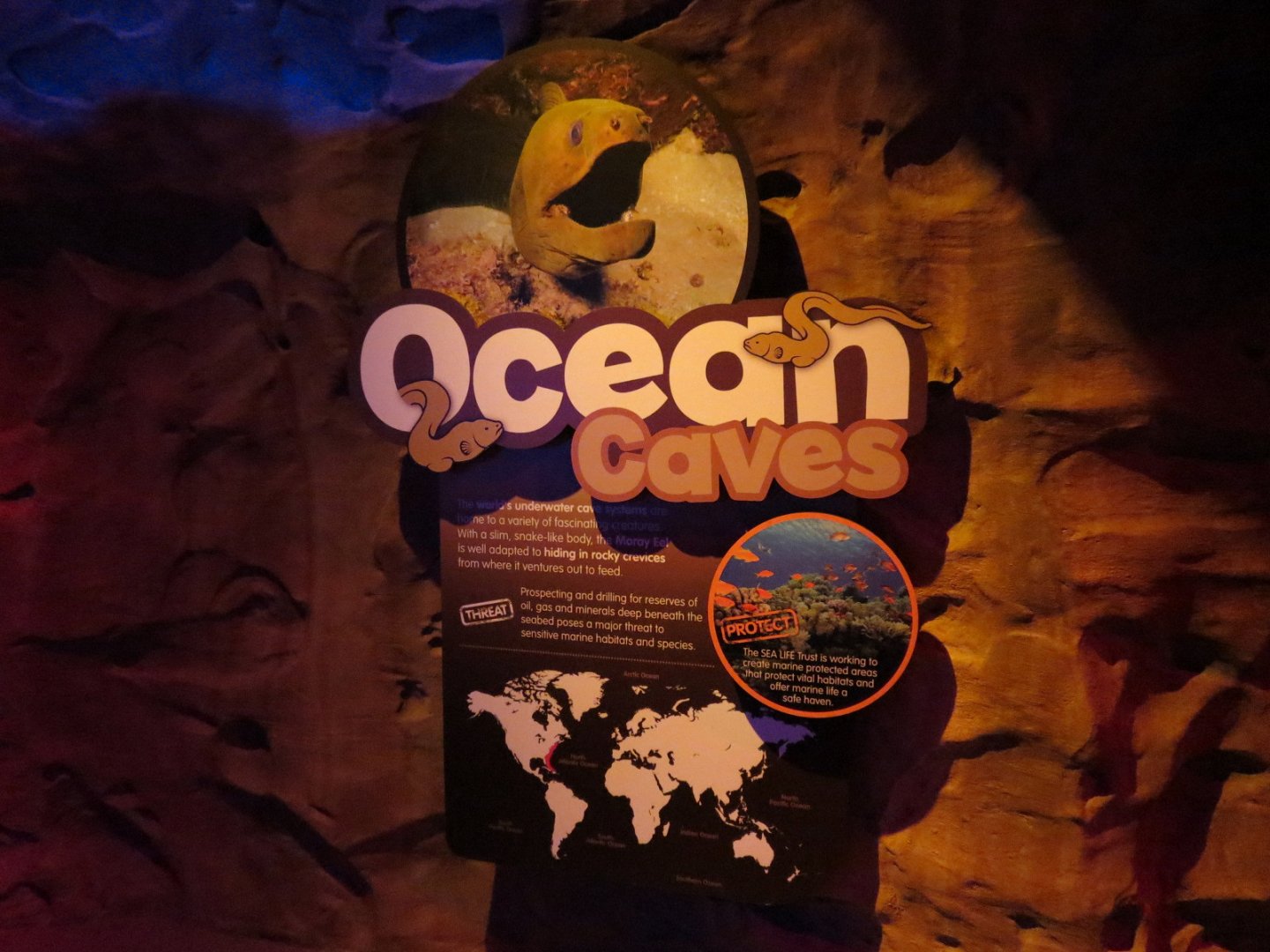 Ocean Caves Sign