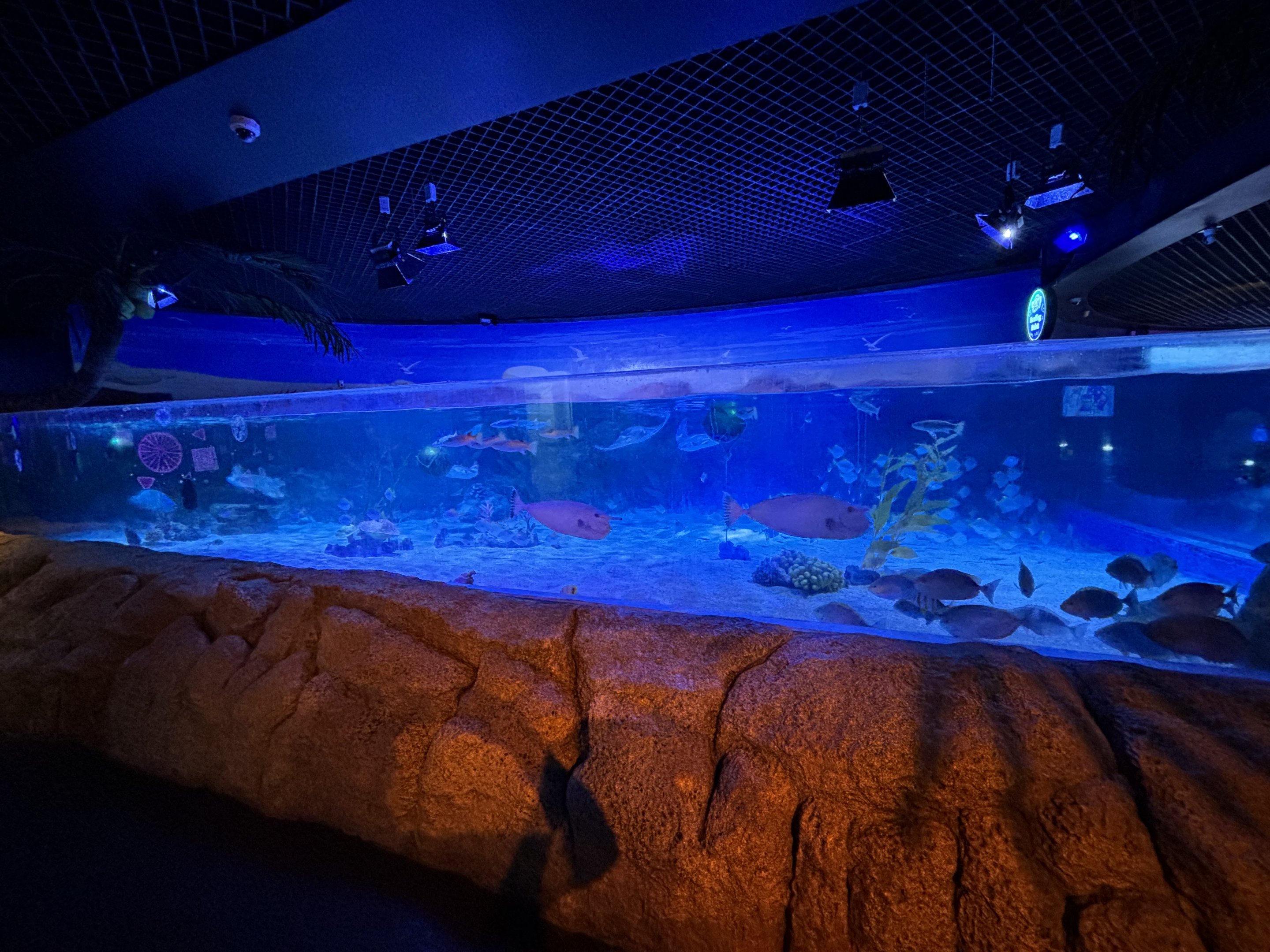 Ocean Currents Tank