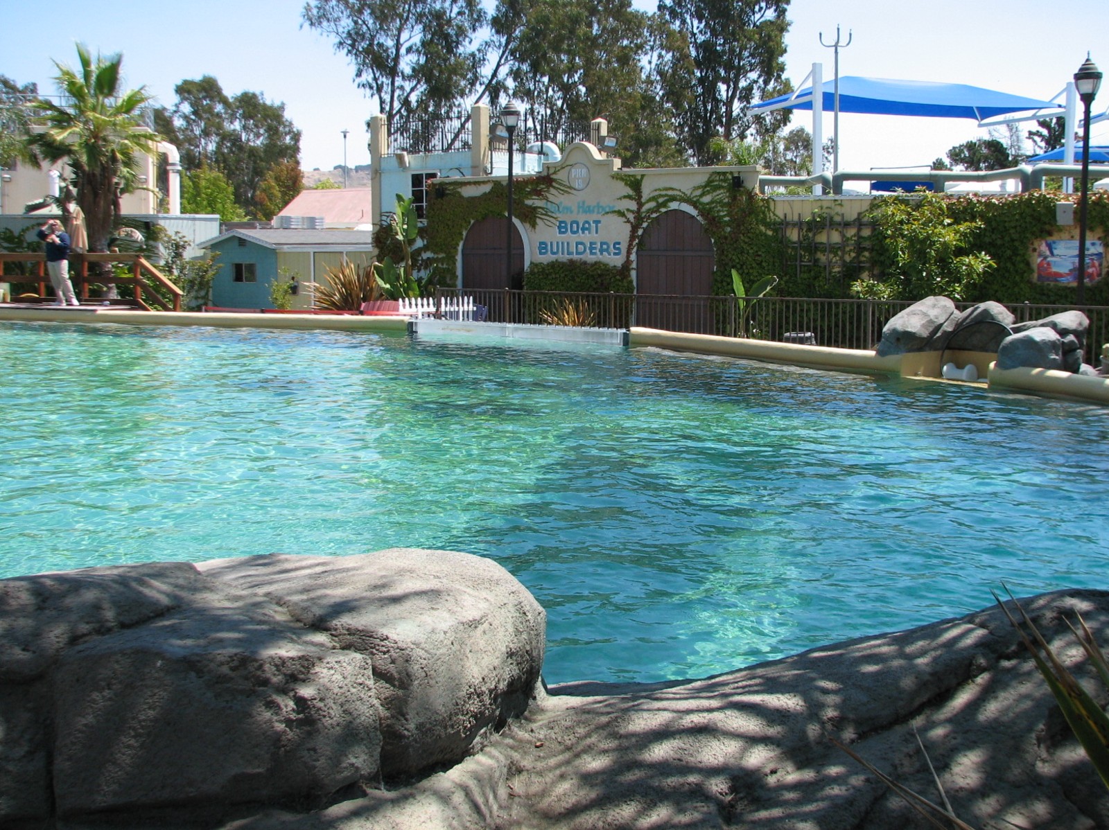 Ocean Discovery - Dolphin Encounter - Bottlenose Dolphin Exhibit