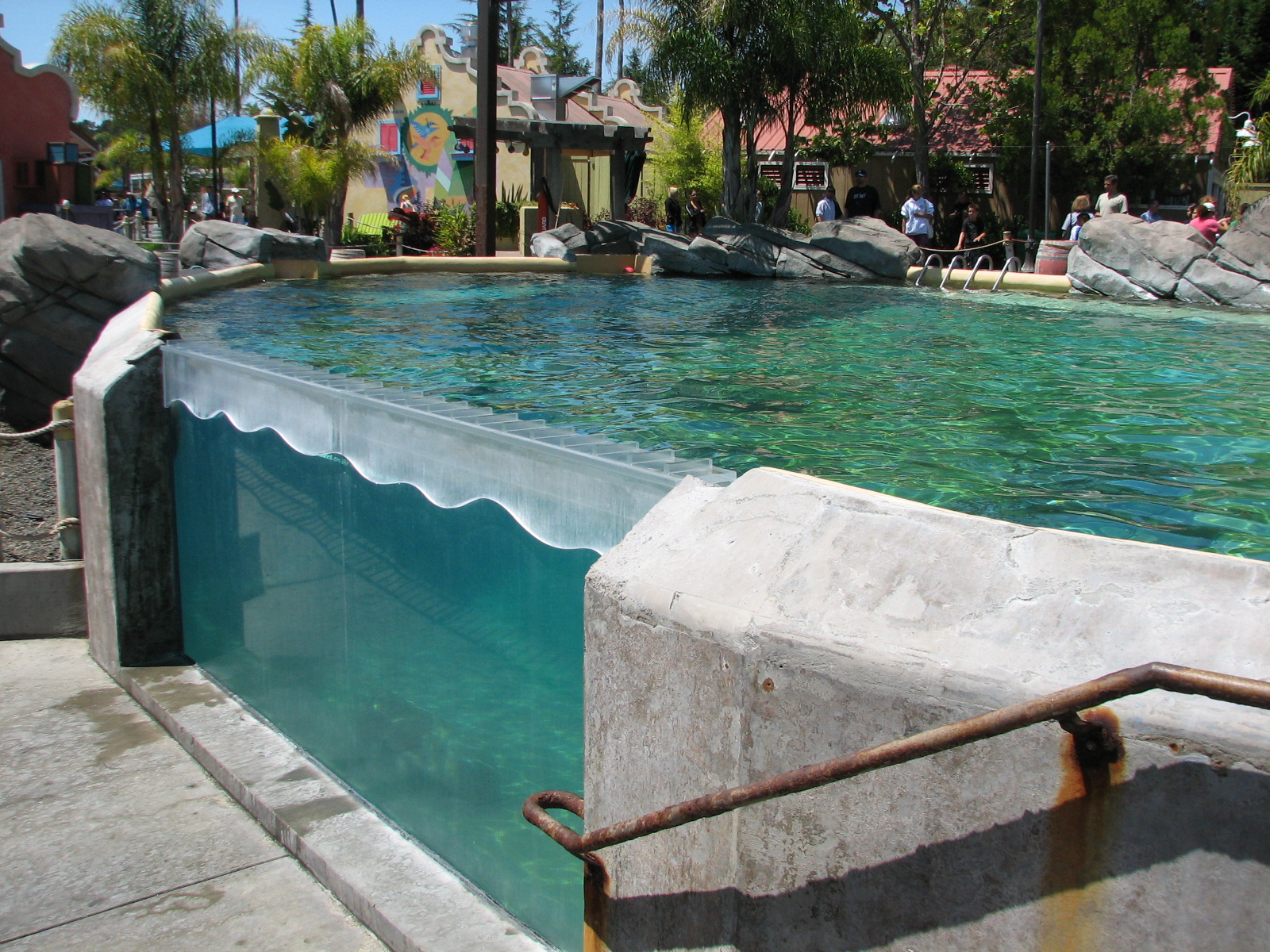 Ocean Discovery - Dolphin Encounter - Bottlenose Dolphin Exhibit