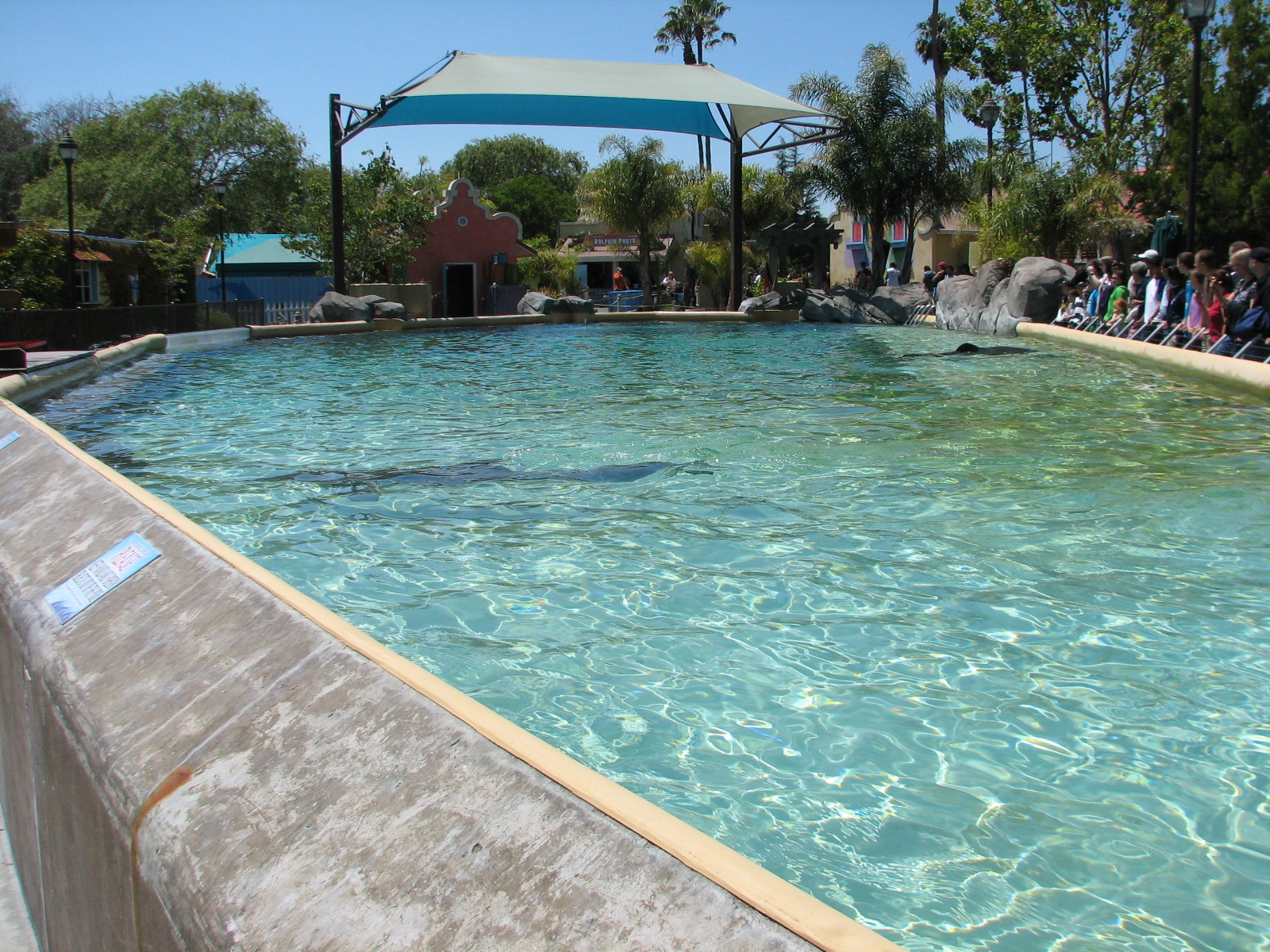 Ocean Discovery - Dolphin Encounter - Bottlenose Dolphin Exhibit
