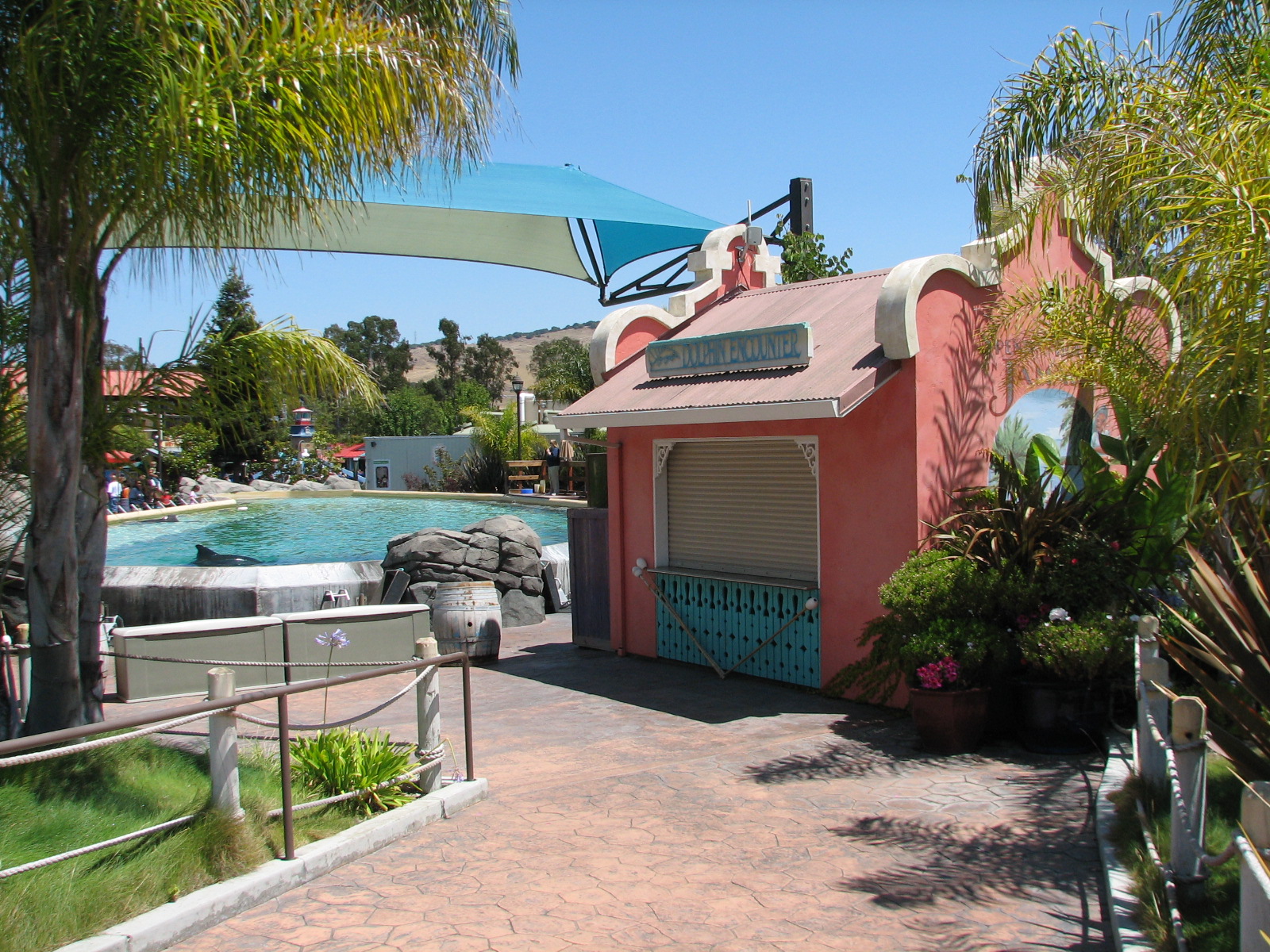 Ocean Discovery - Dolphin Encounter - Entry