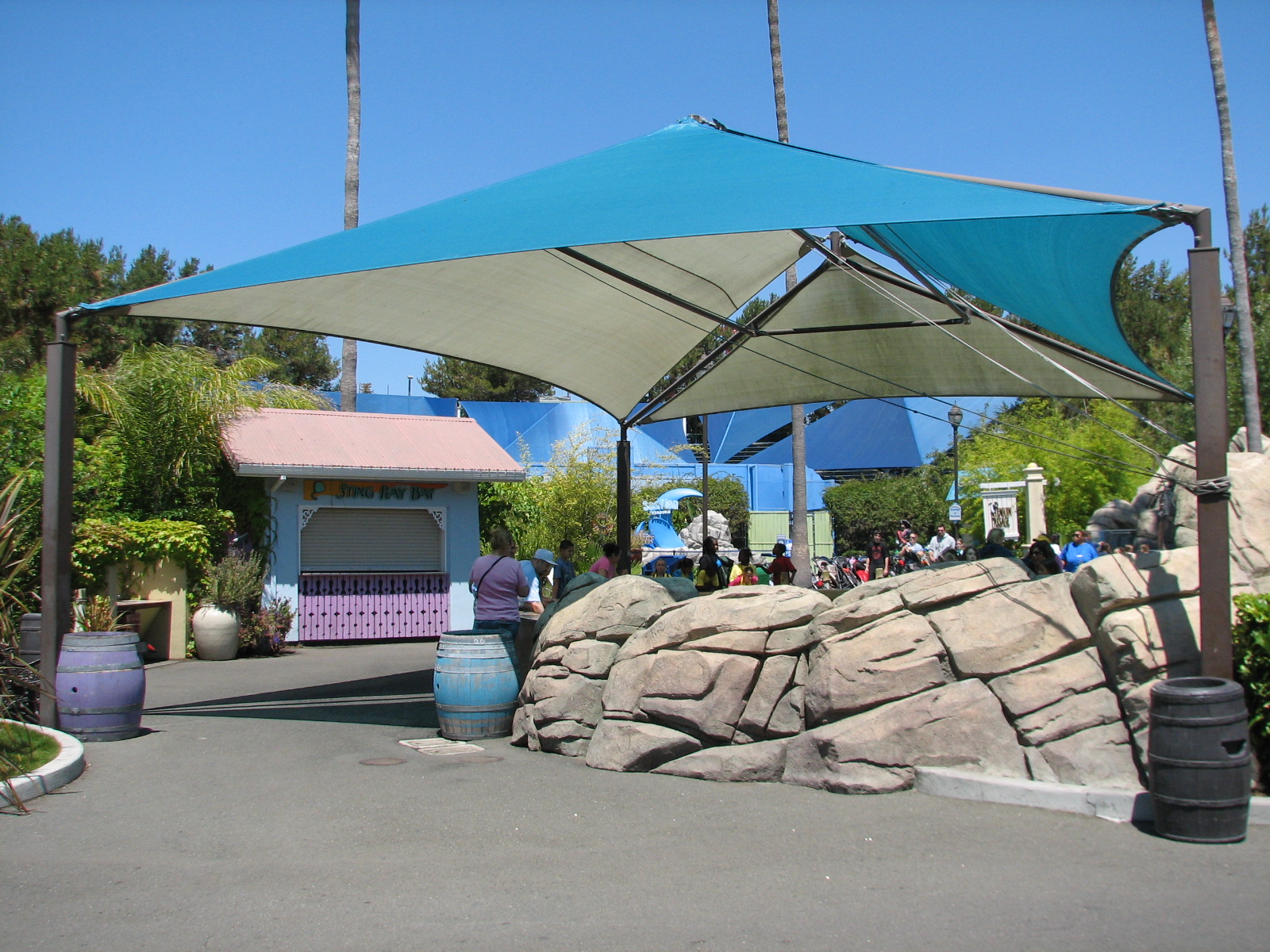 Ocean Discovery - Stingray Bay
