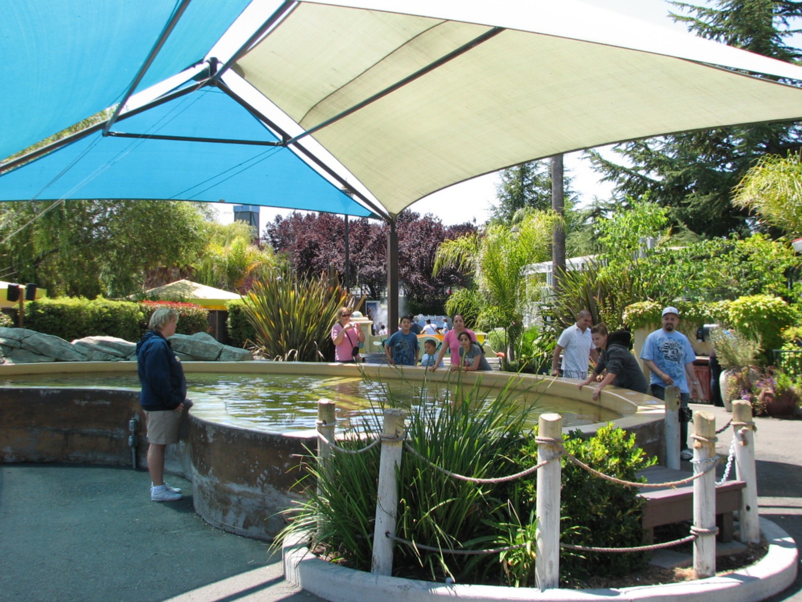 Ocean Discovery - Stingray Bay