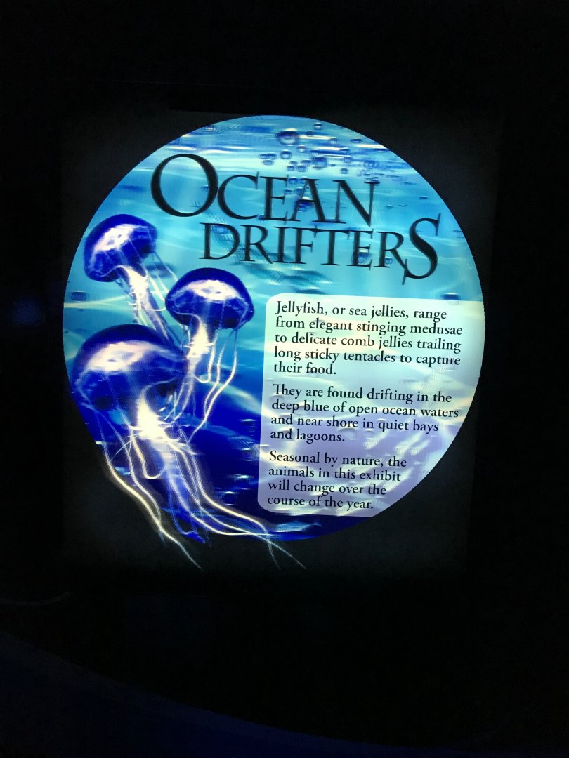 "Ocean Drifters" sign
