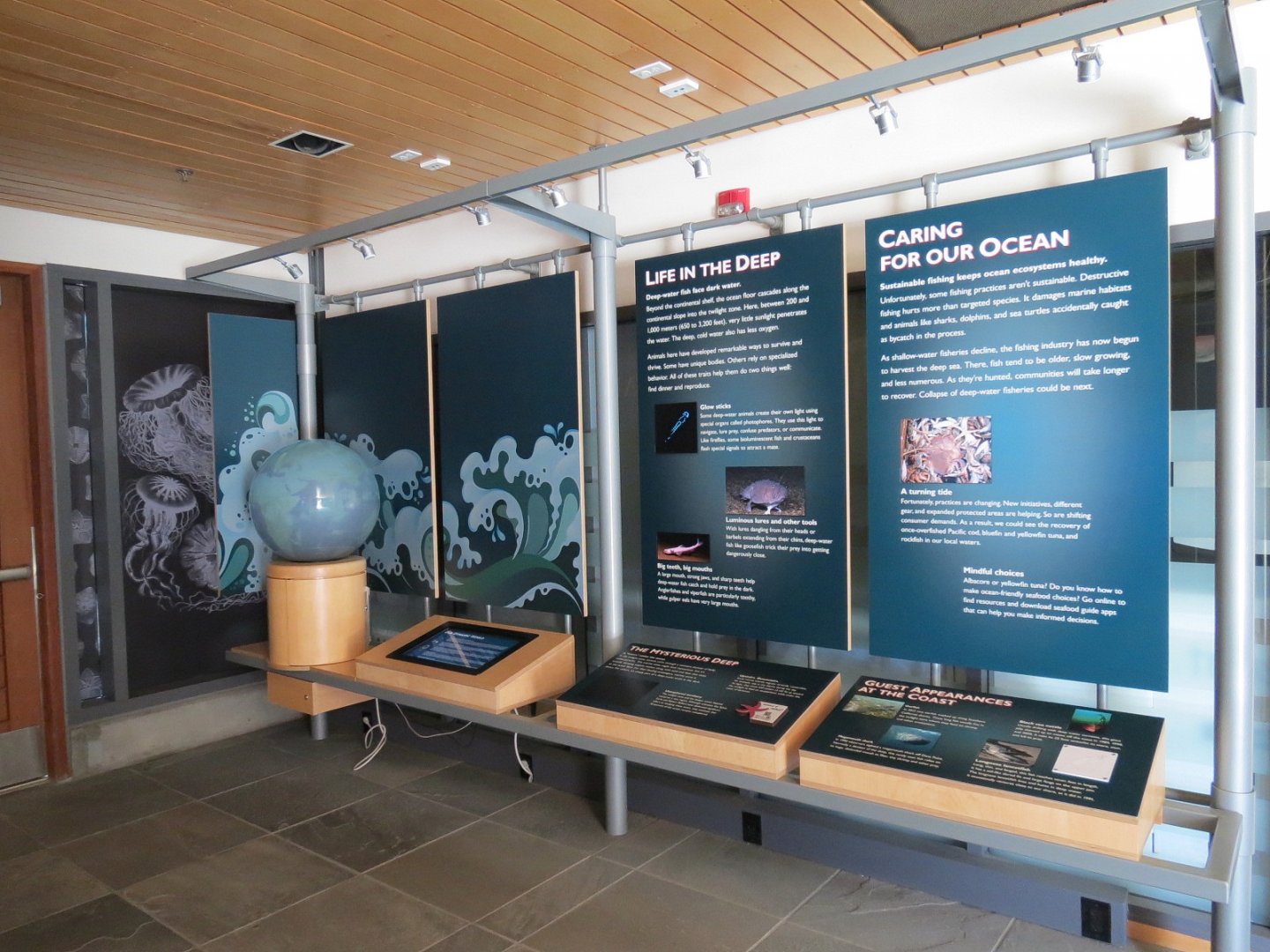 Ocean Education Center -  Exhibits