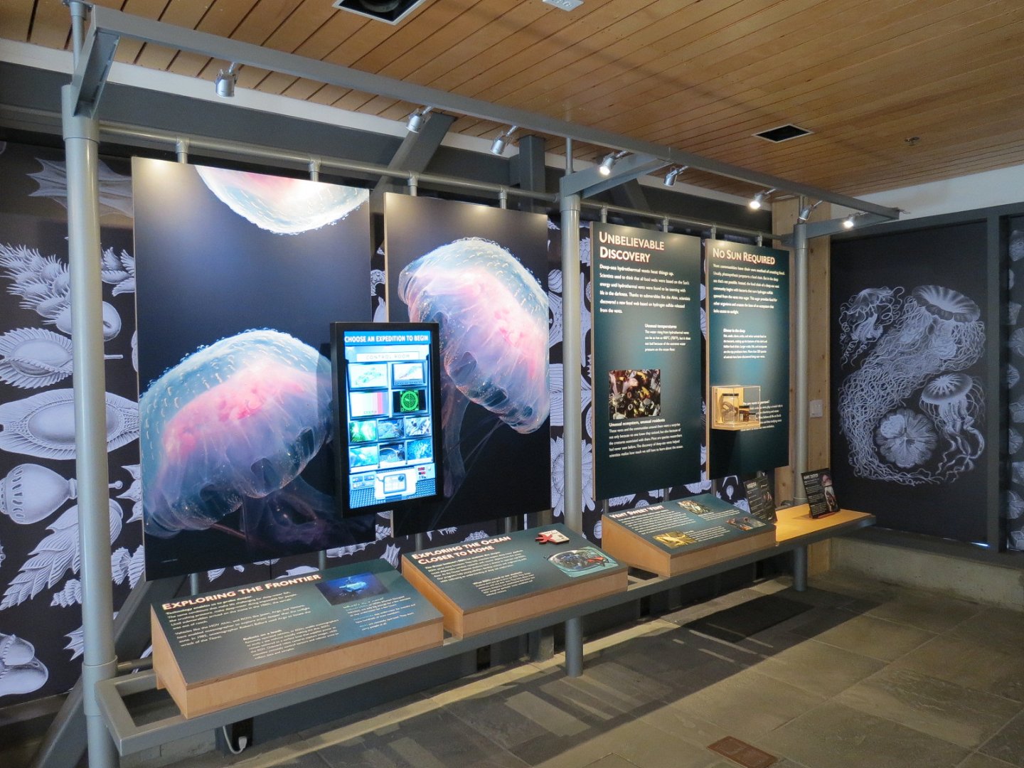 Ocean Education Center -  Exhibits
