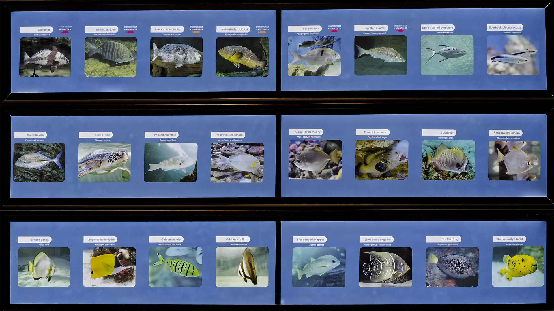 Ocean Exhibit labels