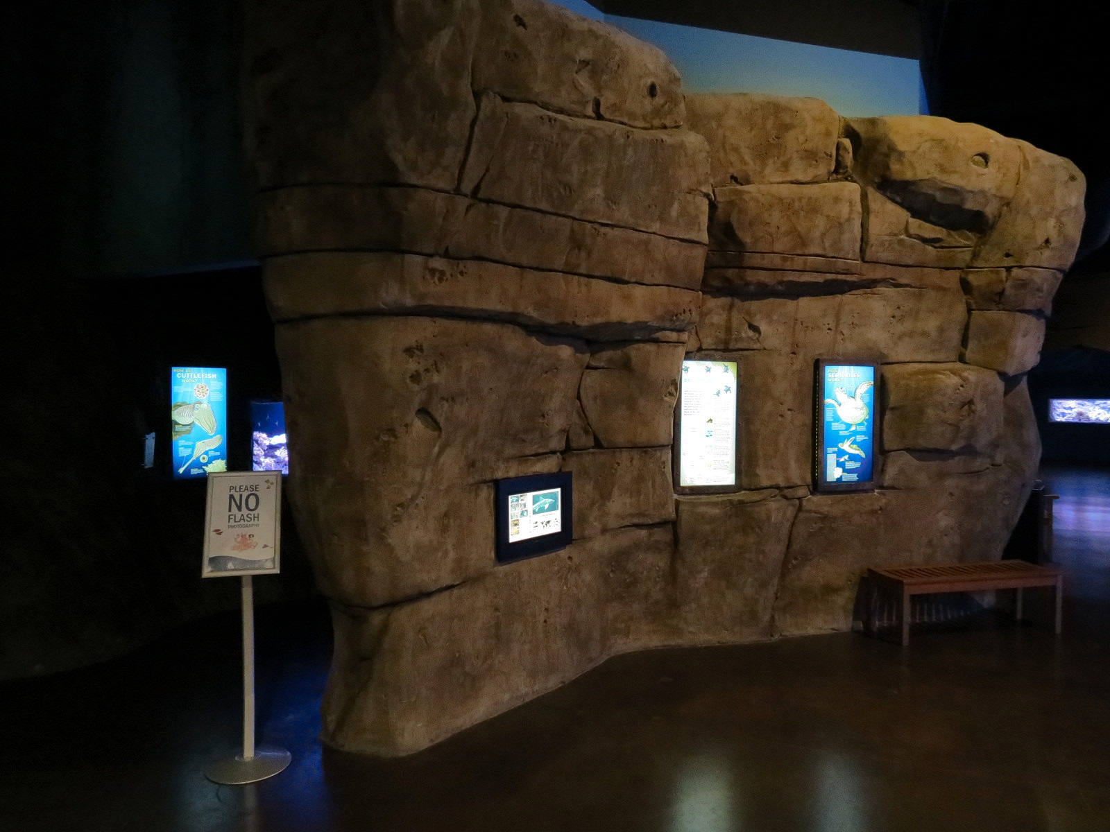 Ocean Explorer - Cephalopod Exhibits Cave Exterior