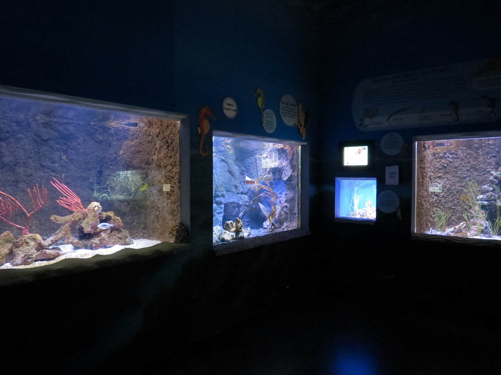 Ocean Explorer - Exhibit Hall