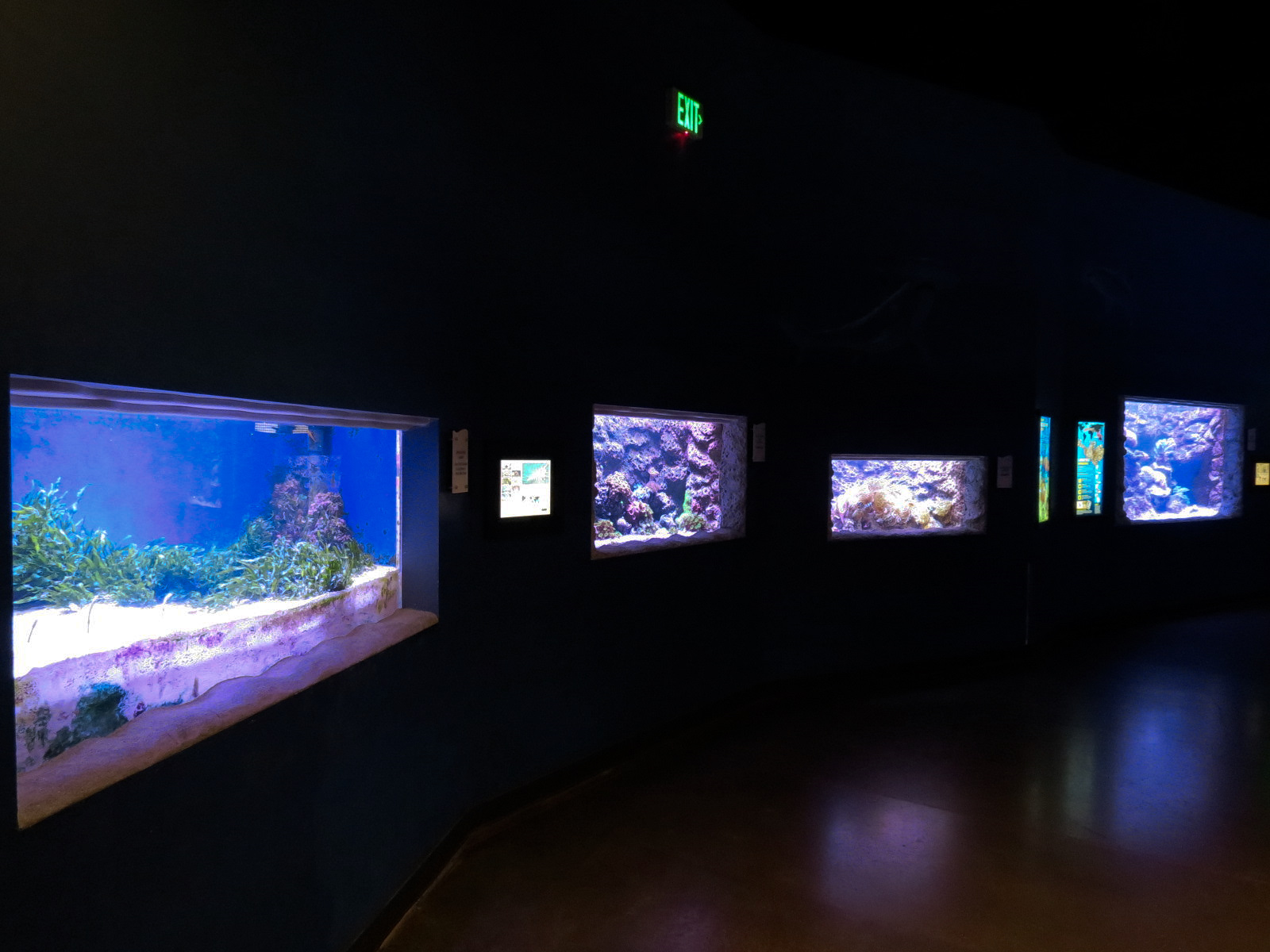 Ocean Explorer - Exhibit Hall