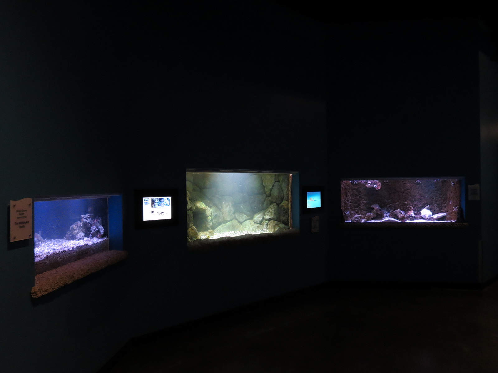 Ocean Explorer - Exhibit Hall