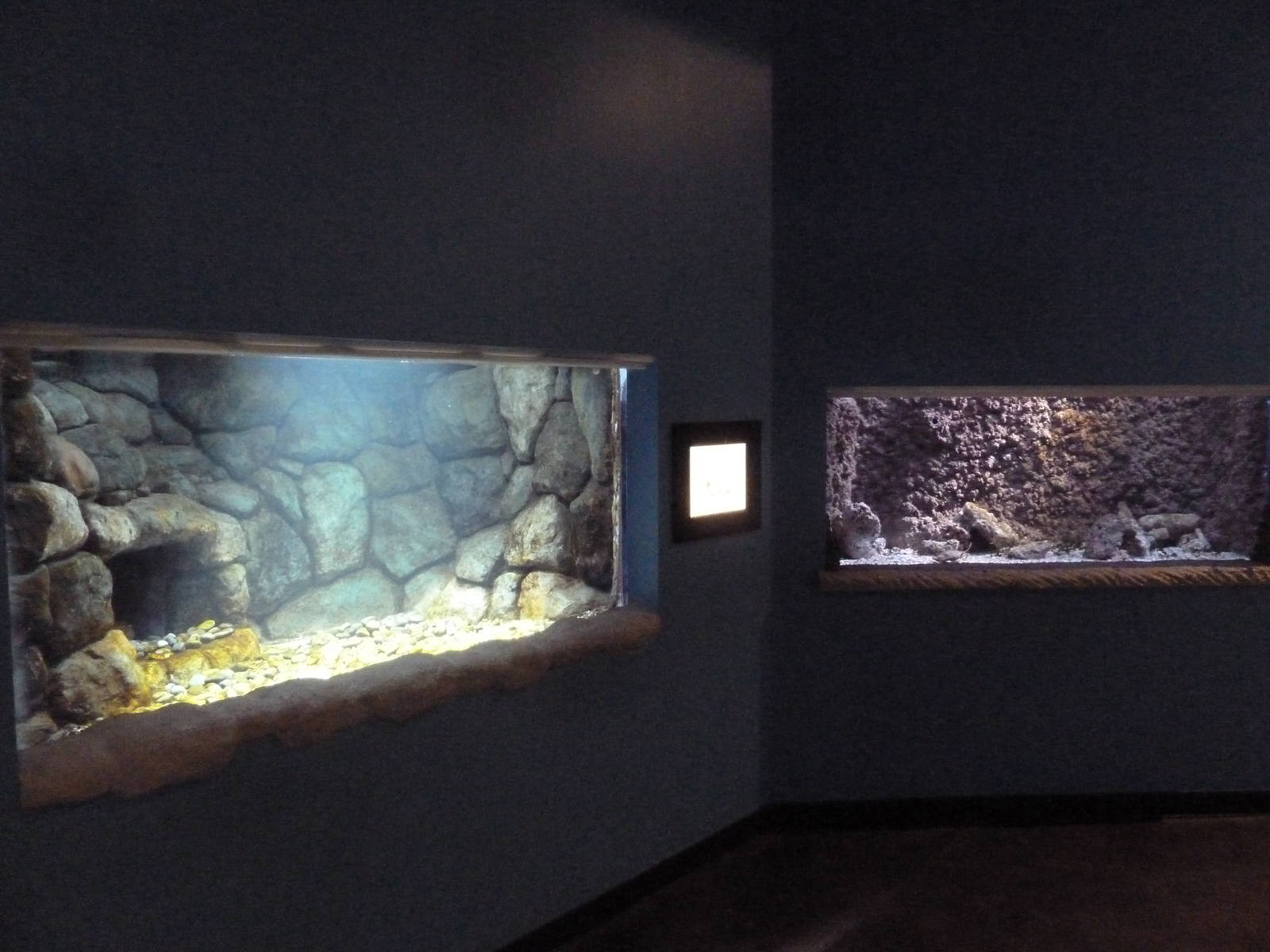 Ocean Explorer - Lobster + Crab Exhibits